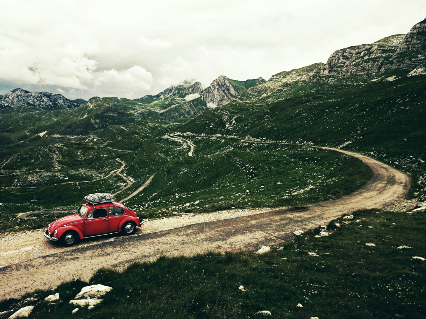 garbus monika kolanowska